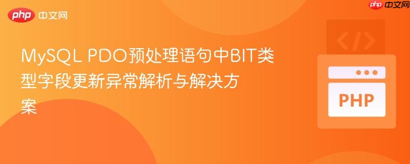 MySQL PDO预处理语句中BIT类型字段更新异常解析与解决方案