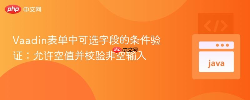 Vaadin表单中可选字段的条件验证:允许空值并校验非空输入