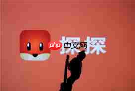 探探能否通过手机号找人