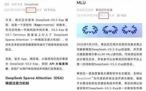 强强联手！深度求索、寒武纪同步发布DeepSeek-V3.2模型架构和基于vLLM的模型适配源代码