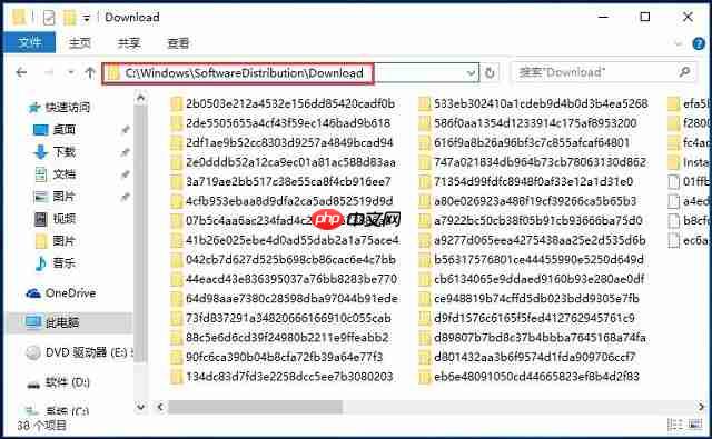 Win10系统更新补丁保存在哪里?