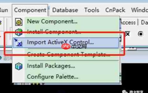 delphi 使用windowsmediaplayer播放视频