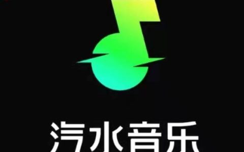 汽水音乐如何设置隐私权限 汽水音乐账号安全的保护策略