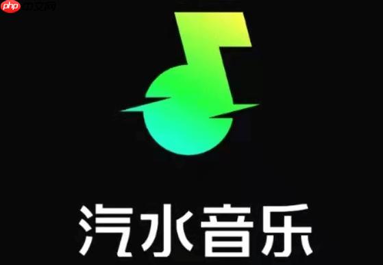 汽水音乐如何设置隐私权限 汽水音乐账号安全的保护策略