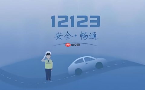 交管12123交通违法处理怎么操作_交管12123交通违法处理详细流程