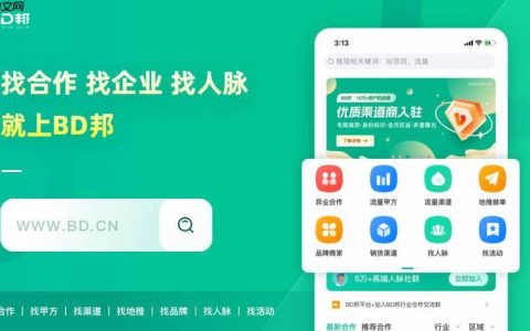 任推邦如何设置预算与出价策略 任推邦成本控制的优化技巧