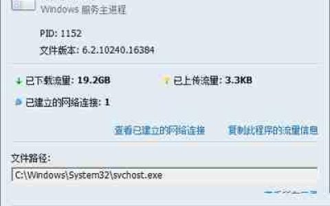 Win10系统的Svchost.exe为什么那么占网速？
