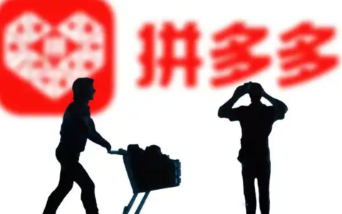 拼多多百亿补贴的商品是正品吗？百亿补贴和旗舰店有啥区别？拼多多百亿补贴真能捡漏？旗舰店VS百亿补贴终极对比！教你一眼识破假货陷阱！