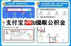 如何用支付宝提取公积金