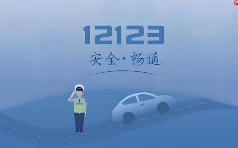 交管12123电子行驶证怎么申领和使用_交管12123电子行驶证申领使用教程