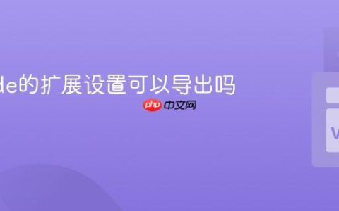 VSCode的扩展设置可以导出吗？