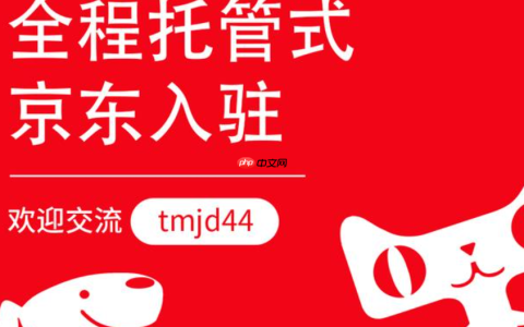 京东入驻审核不通过，应对措施与解决方法有哪些？揭秘审核失败原因及切实可行的解决方案！