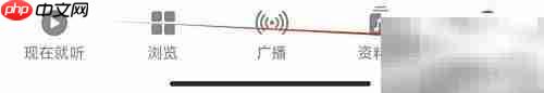 Apple Music隐私查看指南