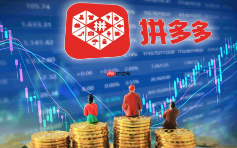 拼多多新人200元推广怎么用？推广费用一般多少？从200元启动到每日预算规划，新手避坑指南与费用全揽！