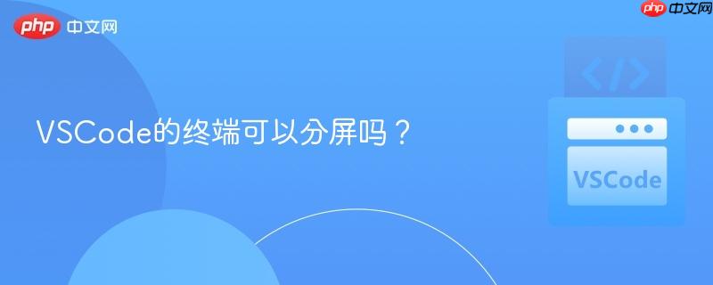 vscode的终端可以分屏吗?