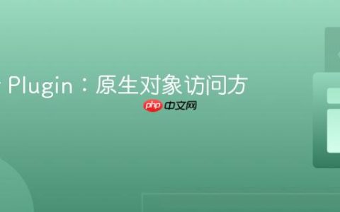 Flutter Plugin：原生对象访问方案详解