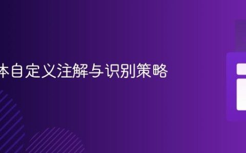 JPA实体自定义注解与识别策略