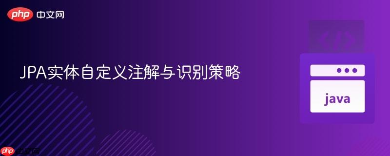 JPA实体自定义注解与识别策略