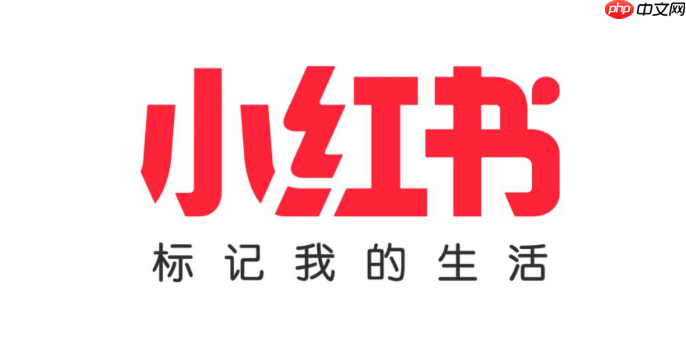 小红书千帆PC端和手机版有何区别_小红书千帆PC端与手机版功能对比 - 创想鸟