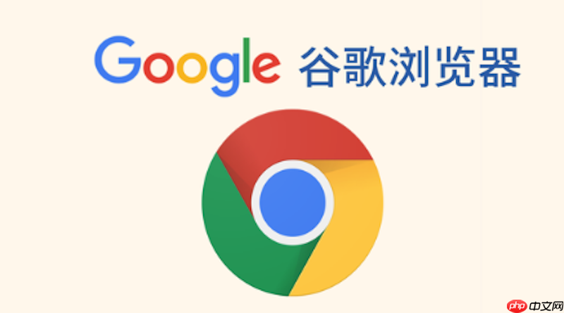 谷歌浏览器隐私设置怎么调整_谷歌浏览器隐私设置如何调整详细方法