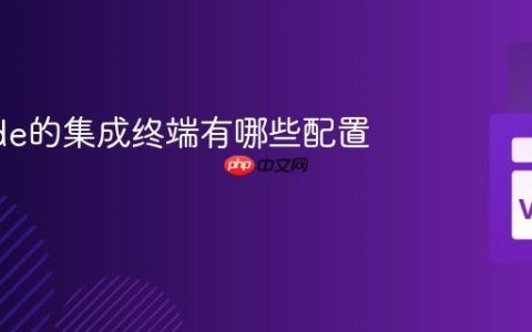 VSCode的集成终端有哪些配置选项？