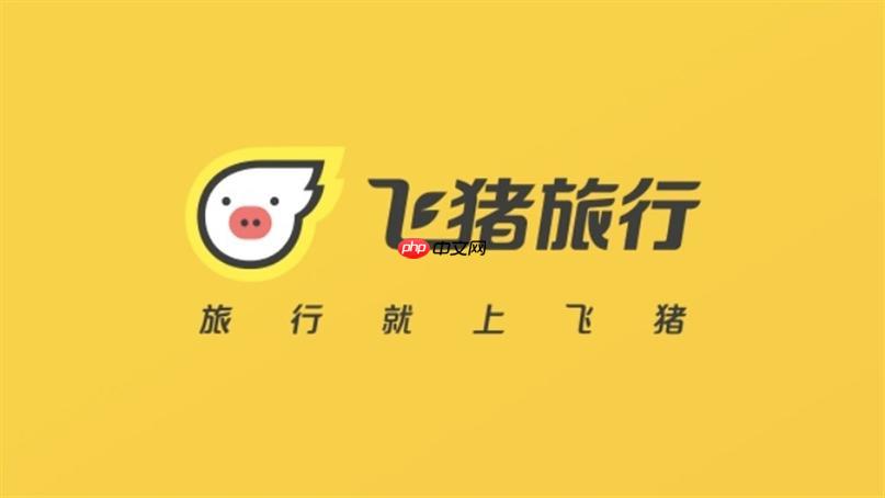 飞猪旅行怎么查询火车票余票_飞猪旅行火车票余票查询技巧