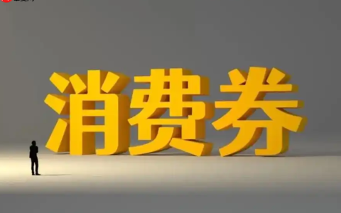 淘宝政府消费券的领取方式是什么？如何正确使用？充分利用消费券提升购物体验。