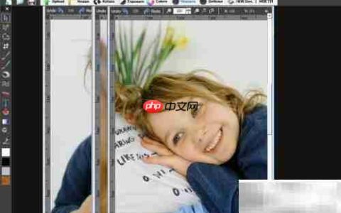 fhotoroom颜色计数效果使用指南