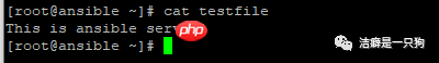 自动化运维 | Ansible lookup