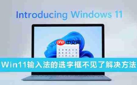 Win11输入法的选字框不见了怎么办？Win11输入法的选字框不见了解