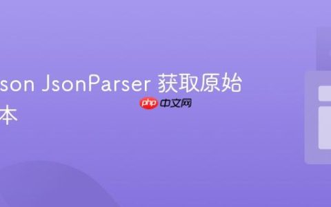 从Jackson JsonParser 获取原始属性文本