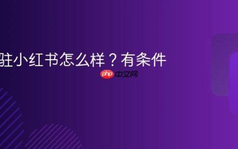 饰品入驻小红书怎么样？有条件吗？