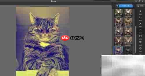 如何制作图片金色光晕滤镜