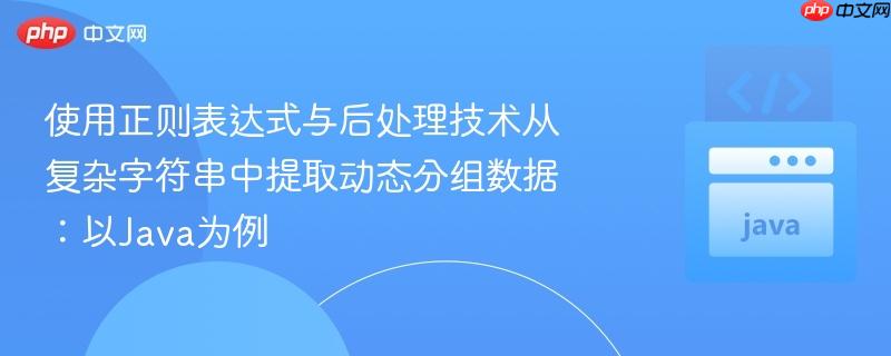 使用正则表达式与后处理技术从复杂字符串中提取动态分组数据：以Java为例
