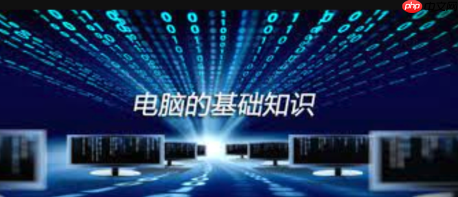 为什么显卡的驱动更新对游戏性能和稳定性有如此重要的影响?