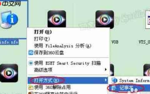 nfo文件怎么打开？