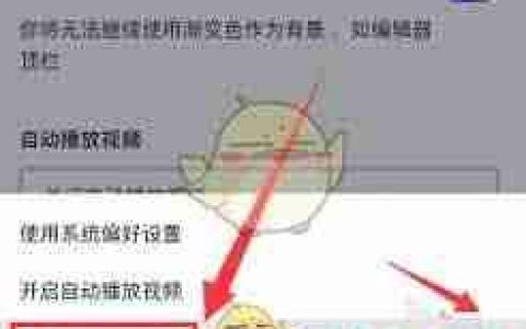 Canva可画如何设置自动播放视频