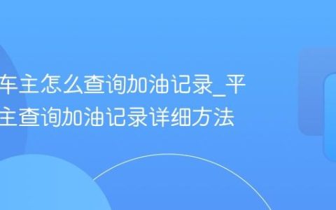 平安好车主怎么查询加油记录_平安好车主查询加油记录详细方法