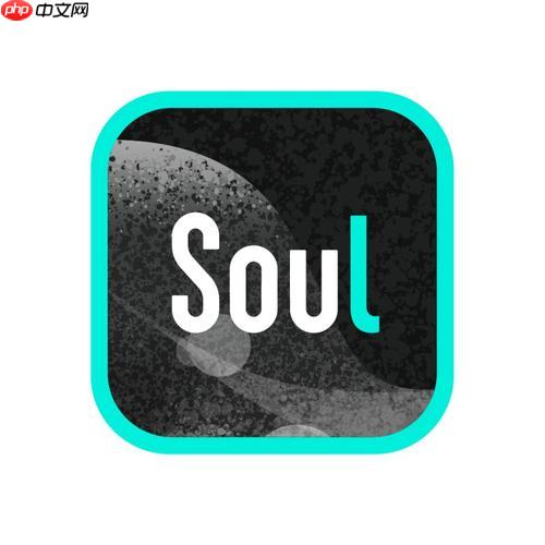 Soul私信发送失败怎么办_Soul私信发送失败排查处理