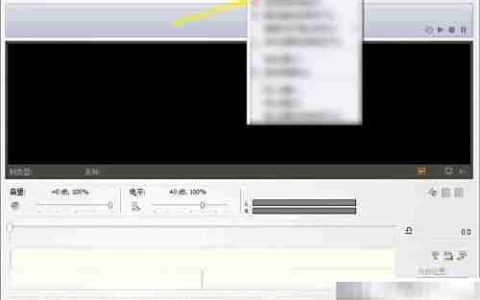 Total Recorder PCM数据转换技巧