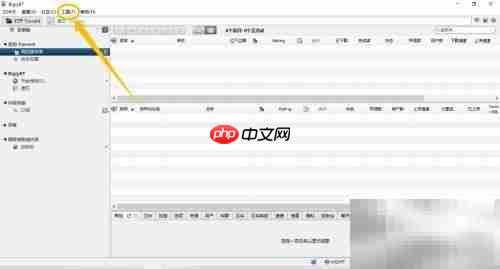 biglybt隐藏设备设置指南