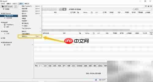 BiglyBT隐藏设备设置指南