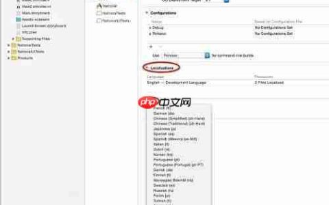 iOS项目国际化实践