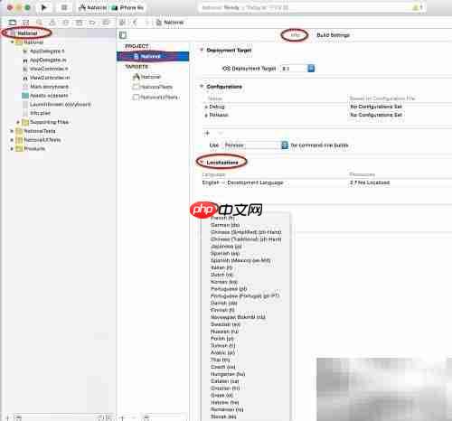 ios项目国际化实践