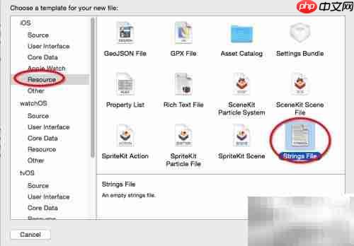 iOS项目国际化实践