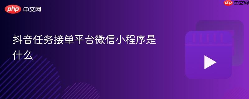 抖音任务接单平台微信小程序是什么