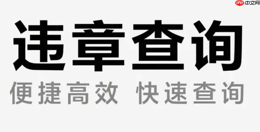 交管12123大中型客货车驾驶人审验教育_交管12123大中型客货车驾驶人审验教育流程