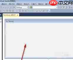 vs2010怎么在页面使用控件