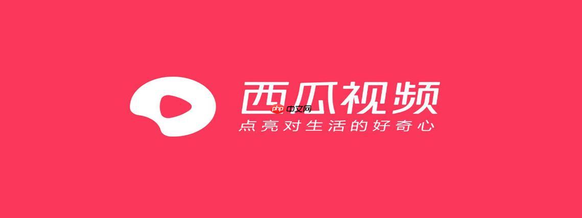 西瓜视频PC版怎么开启护眼模式_西瓜视频PC版开启夜间护眼模式教程