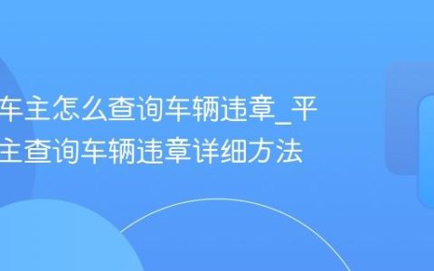 平安好车主怎么查询车辆违章_平安好车主查询车辆违章详细方法